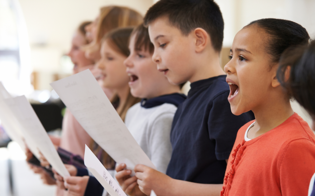 Call for Bursary Applications OPEN – Training Leading Voices